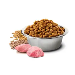 N&D Düşük Tahıllı Kuzu Etli Küçük Irk Yavru Köpek Maması 7 KG - 3