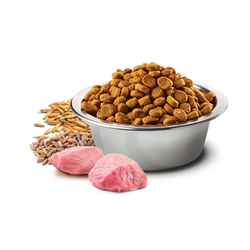 N&D Düşük Tahıllı Kuzu Etli ve Yaban Mersinli Küçük Irk Yavru Köpek Maması 7 kg - 3