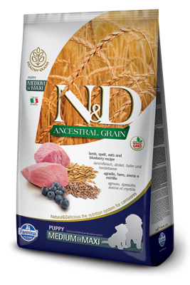 N&D Düşük Tahıllı Kuzu Etli ve Yaban Mersinli Yavru Köpek Maması 12 kg - 1