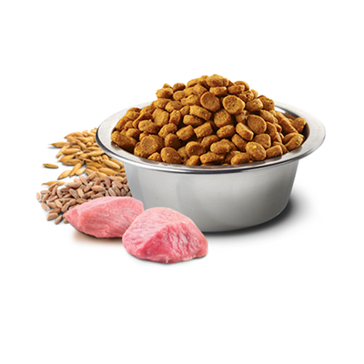 N&D Düşük Tahıllı Kuzu Etli ve Yaban Mersinli Küçük Irk Yetişkin Köpek Maması 2.5 kg - 3