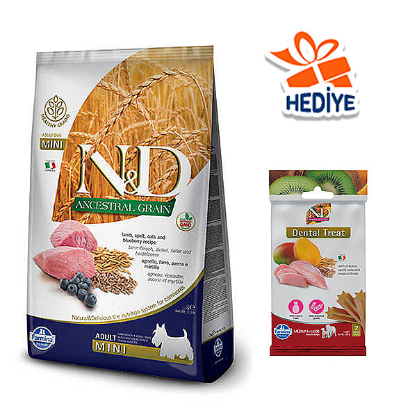 N&D Düşük Tahıllı Kuzu Etli ve Yaban Mersinli Küçük Irk Yetişkin Köpek Maması 7 kg