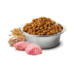 N&D Düşük Tahıllı Tavuklu Narlı Kedi Maması 5 KG - 2