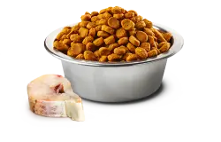 ND Tahılsız BalKabaklı Balıklı Köpek Maması 12 KG - 3