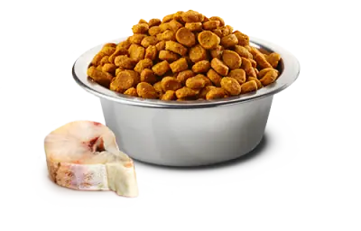 ND Tahılsız BalKabaklı Balıklı Köpek Maması 12 KG - 3