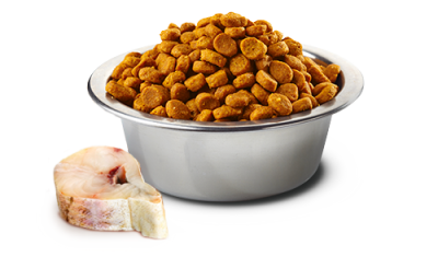 ND Tahılsız BalKabaklı Balıklı Köpek Maması 12 KG - 3
