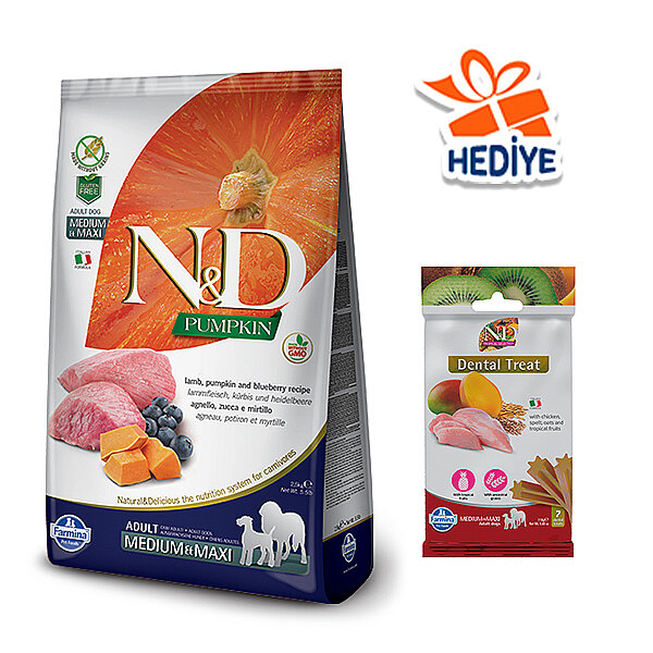 N&D Pumpkin Balkabaklı, Kuzu Etli ve Yaban Mersinli Yetişkin Köpek Maması 12 kg - 2
