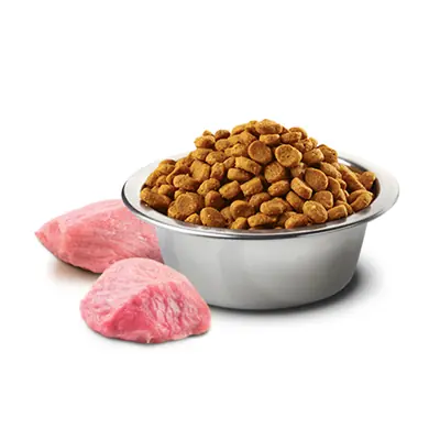 N&D Bal Kabaklı Kuzu Etli Küçük Irk Yavru Köpek Maması 7 KG - 3