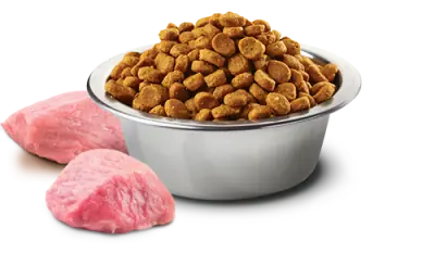 ND Tahılsız Bal Kabaklı Tavuklu Köpek Maması 12 KG - 2