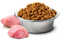 N&D Pumpkin Balkabaklı, Tavuklu ve Narlı Yetişkin Köpek Maması 12 kg - 2