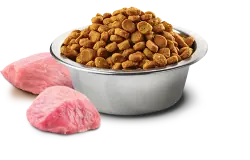 ND Tahılsız Bal Kabaklı Domuzlu ve Elmalı Köpek Maması 12 KG - 2