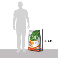 ND Tahılsız Balık ve Portakallı Köpek Maması 12 KG - 2