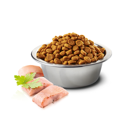 ND Tahılsız Balık ve Portakallı Köpek Maması 12 KG - 3