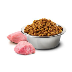 N&D Prime Tahılsız Kuzu Etli ve Yaban Mersinli Yetişkin Kedi Maması 1.5 kg - 2