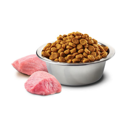 N&D Prime Tahılsız Kuzu Etli ve Yaban Mersinli Yetişkin Kedi Maması 1.5 kg - 2
