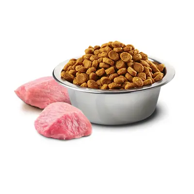 N&D Tahılsız Kuzu Etli Kedi Maması 10 KG - 3