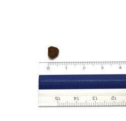 N&D Tahılsız Tavuklu ve Narlı Yavru Kedi Maması 1.5 KG - 7