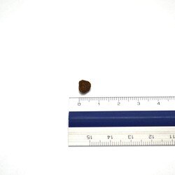 N&D Tahılsız Tavuklu ve Narlı Yavru Kedi Maması 10 KG - 5