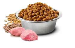 ND Düşük Tahıllı Küçük Irk Yavru Köpek Maması 2,5 KG - 2