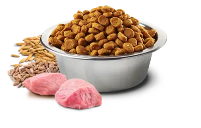 ND Düşük Tahıllı Küçük Irk Yavru Köpek Maması 2,5 KG - 2