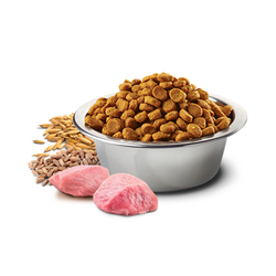 N&D Düşük Tahıllı Tavuk Etli ve Narlı Yaşlı Köpek Maması 12 kg - 3