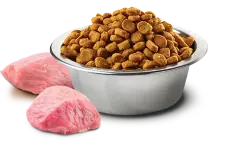 ND Tahılsız Domuzlu Büyük Irk Köpek Maması 12 KG - 2