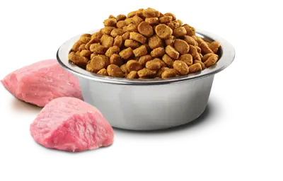 ND Tahılsız Domuzlu Büyük Irk Köpek Maması 12 KG - 2