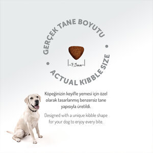 Felicia HypoAllergenic Kuzulu Küçük Irk Yavru Köpek Maması 6 Kg​ - 7