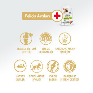 Felicia HypoAllergenic Kuzulu Küçük Irk Yetişkin Köpek Maması 6 Kg​ - 2