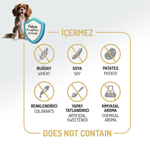 Felicia HypoAllergenic Kuzulu Küçük Irk Yetişkin Köpek Maması 6 Kg​ - 4