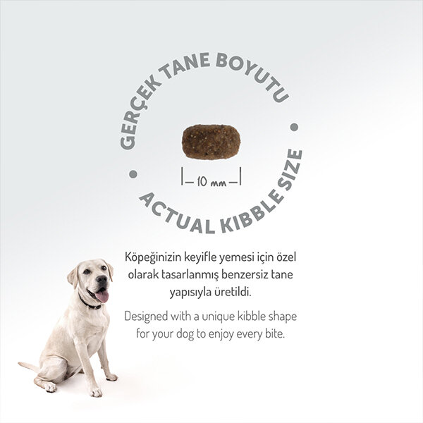 Felicia HypoAllergenic Kuzulu Küçük Irk Yetişkin Köpek Maması 6 Kg​ - 7