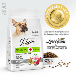 Felicia HypoAllergenic Kuzulu Küçük Irk Yetişkin Köpek Maması 6 Kg​