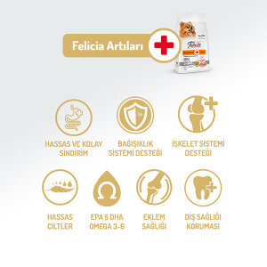 Felicia HypoAllergenic Somonlu Küçük Irk Köpek Maması 6 Kg​ - 2