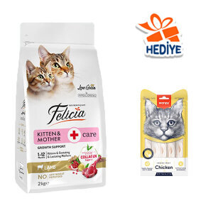 Felicia Düşük Tahıllı Kuzu Etli Yavru Kedi Maması 2 KG