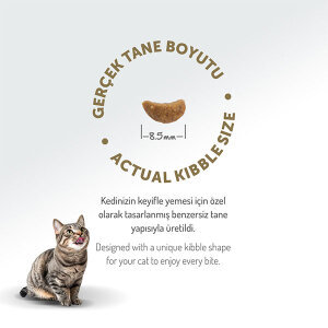 Felicia Düşük Tahılllı Kuzu Etli Kedi Maması 12 KG - 7