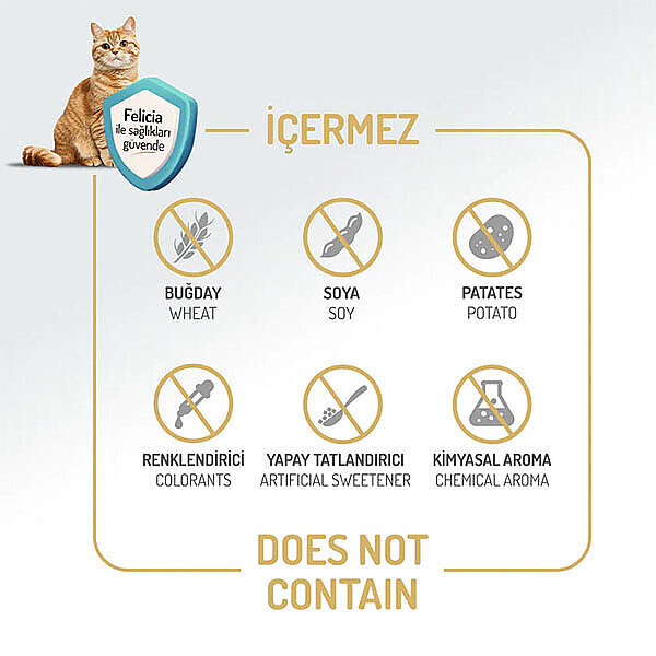 Felicia Hipoalerjenik Kolajen Destekli Somonlu Kısırlaştırılmış Kedi Maması 5kg - 4