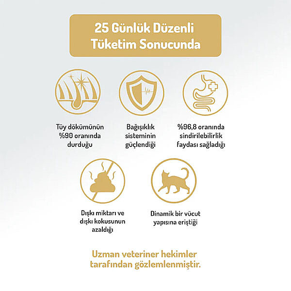 Felicia Hipoalerjenik Kolajen Destekli Somonlu Kısırlaştırılmış Kedi Maması 5kg - 5