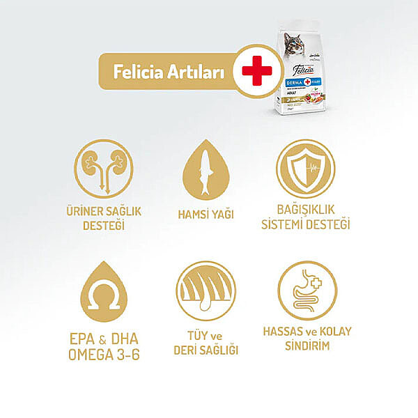 Felicia Hipoalerjenik Kolajen Destekli Somonlu Yetişkin Kedi Maması 5kg - 2