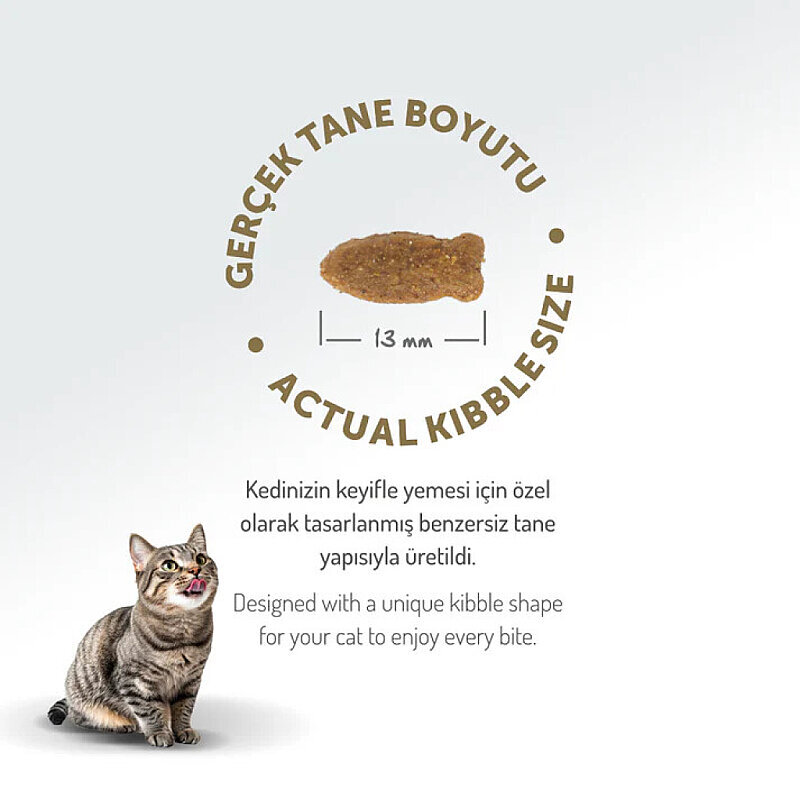 Felicia Hipoalerjenik Kolajen Destekli Somonlu Yetişkin Kedi Maması 5kg - 7