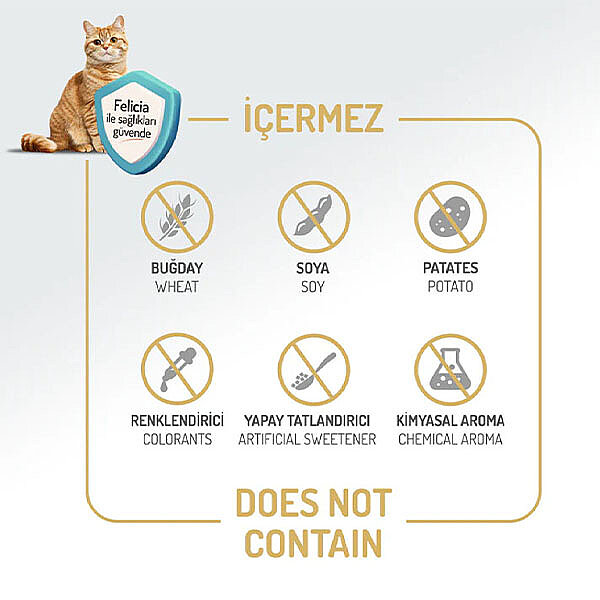 Felicia Hipoalerjenik Kolajen Destekli Somonlu Yetişkin Kedi Maması 5kg - 5