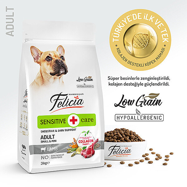 Felicia Küçük ve Orta Irk Köpekler İçin Kuzu Etli Köpek Maması 3 KG