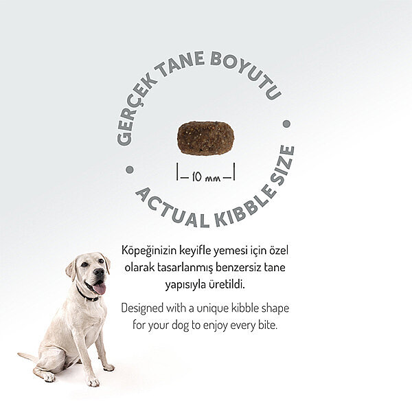 Felicia Kolajen Destekli Hipoalerjenik Kuzulu Yetişkin Küçük Irk Köpek Maması 3 Kg - 6