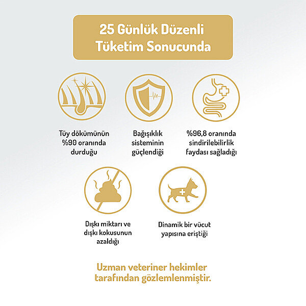 Felicia Kolajen Destekli Hipoalerjenik Kuzulu Yetişkin Küçük Irk Köpek Maması 3 Kg - 5