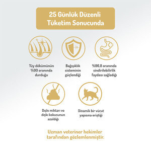 Felicia Düşük Tahıllı HypoAllergenic Somonlu Kısırlaştırılmış Kedi Maması 12 KG - 5