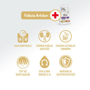 Felicia Düşük Tahıllı HypoAllergenic Somonlu Kısırlaştırılmış Kedi Maması 2 KG - 2