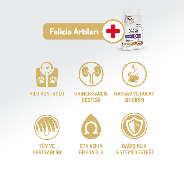 Felicia Düşük Tahıllı HypoAllergenic Somonlu Kısırlaştırılmış Kedi Maması 2 KG - 2