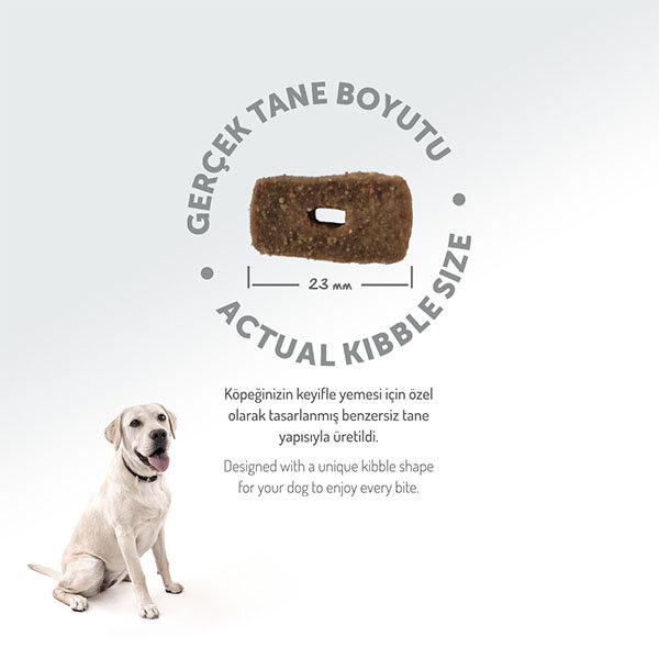 Felicia Tüm Irklara Özel Kuzu Etli Köpek Maması 15 KG - 7