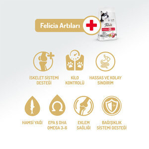 Felicia Tüm Irklara Özel Kuzu Etli Köpek Maması 15 KG - 2
