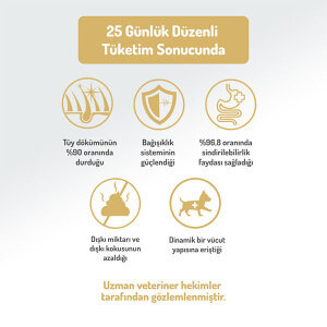 Felicia Tüm Irklara Özel Kuzu Etli Köpek Maması 15 KG - 5