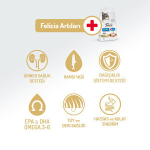 Felicia Tüm Irklara Özel Somonlu HypoAllergenic Kedi Maması 2 KG - 2