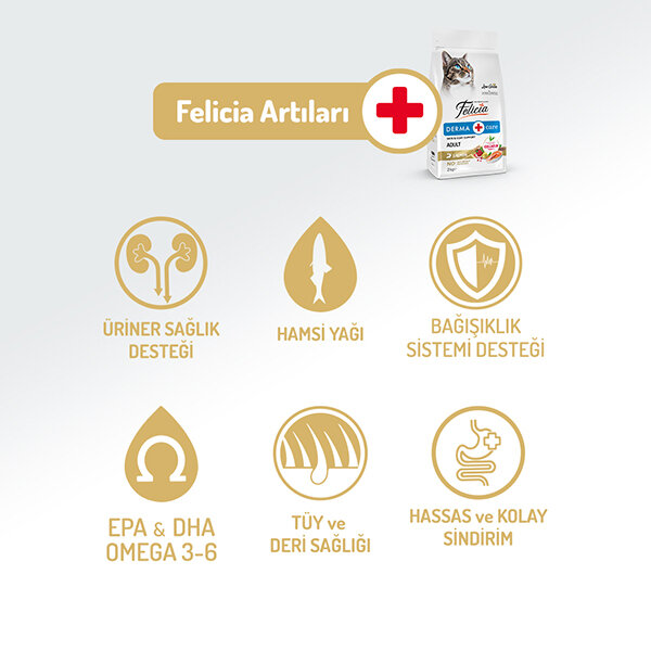 Felicia Tüm Irklara Özel Somonlu HypoAllergenic Kedi Maması 2 KG - 2